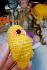 Lovebird parrot