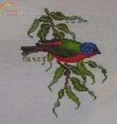 painted bunting