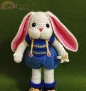 my work----Long ears rabbit