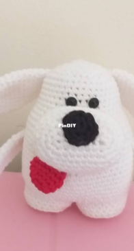 My little Marshmallow dog