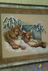 Dimensions_Snowy Cougars 13655