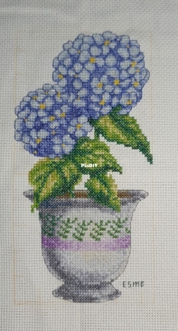 Hortensias