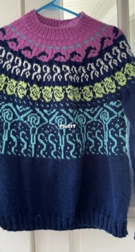 Voyager Sweater by Meghan Regan - Bad Wolf Girl Studios - English