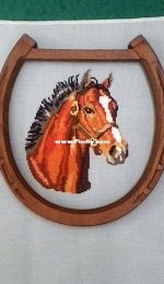 Portrait of a Colt - Jan Sorrells
