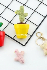 Cactus potted plant
