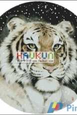 Haukun A-159 - Listen Snow