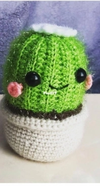 Cactus
