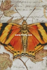 Chimera - Butterfly Vintage 5