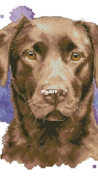Banani Stitchery - Watercolor Chocolate Labrador XSD - Anna Banani