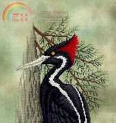 Crossed Wing Collection No.54 Ivory-billed Woodpecker (xsd)