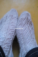 sock