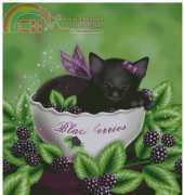 HAED HAEMED 12355 Blackberry Kitten by Melissa Dawn