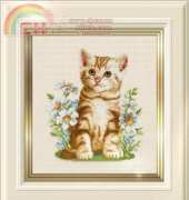 Ellen Maurer Stroh EMS 117 - Summer Kitten