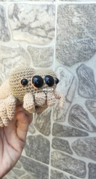 My Spider Lucas, own pattern