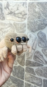 My Spider Lucas, own pattern