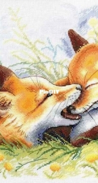 M.P. Studio A-011 Fox Pranks XSD