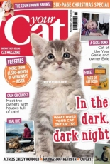 Your Cat November 2017
