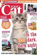 Your Cat November 2017