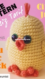 Engurumist - Juju the Chick - Civciv Juju - English and Turkish - Free