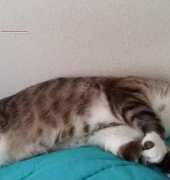Sleepin Sake