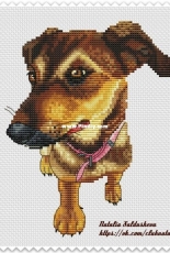 Dachshund by Natalia Saldusheva
