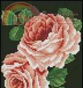 Coricamo - Roses