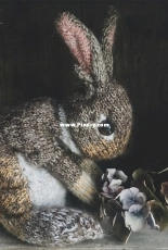 Wild Rabbit by Claire Garland
