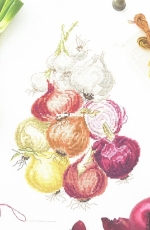 L Oignon Triste Sire by V. Enginger from Mango Mon Jardin Potager XSD