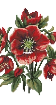 My Brave Stitch - Red helleborus by Hanna Levchuk XSD