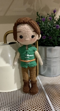 Flynn rider