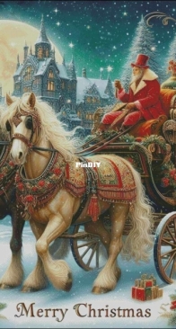 Bozenka - Christmas Carrige Without A Bird XSD