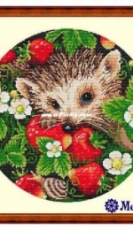 Merejka K-36 - Strawberry