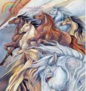 HAED HAEJB007 Fire In The Soul by Jody Bergsma