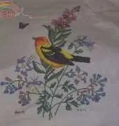 bird
