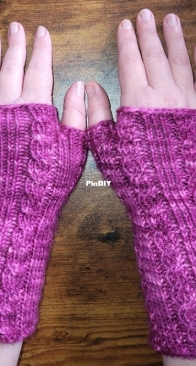Tua Cha   Fingerless Gloves/Mittsby Victoria Myers