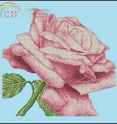 Blushing Rose by Maria Diaz from Cross Stitch Collection 214