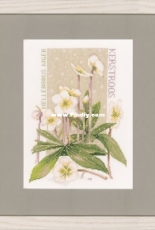 Lanarte PN-0145542 Pure White