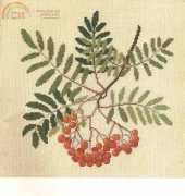 Haandarbejdets Fremme-Fruits and Liquer Herbs in Crosstitch