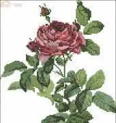 Lanarte 33396 Rose