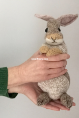 Rabbit by Claire Garland