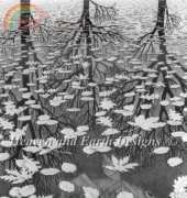 HAED HAEMCE123 Three Worlds by M. C. Escher