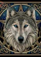 HAED - HAELIP 1909 Wolf by Lisa Parker