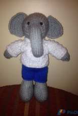 Elephant boy