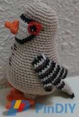 partridge