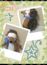 Hedley hedgehog