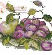 Riolis 482 Pear and Plums