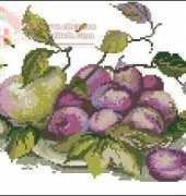 Riolis 482 Pear and Plums