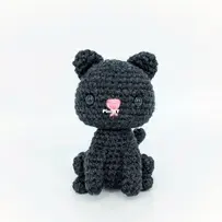 Ami Amore - Denae Mroczek - Minni Blackie the Cat