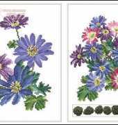 Thea Gouverneur TG 445 Anemone Panel XSD