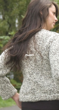 Weekend Sweater by Linda Voss Plummer for Cascade Yarns B186 - Free